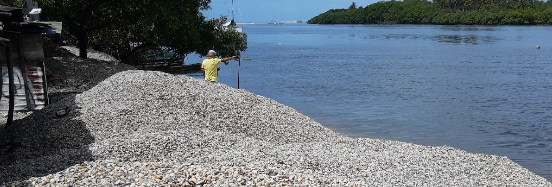 Projeto de pesquisa da Ufal realiza diagnóstico da mariscagem no litoral do NE