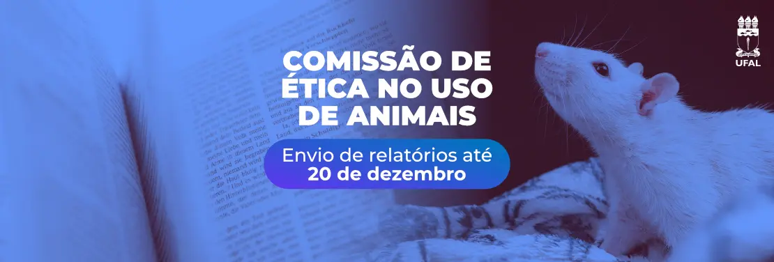 Prazo para envio de relatórios à Comissão de Ética segue até 20 de dezembro