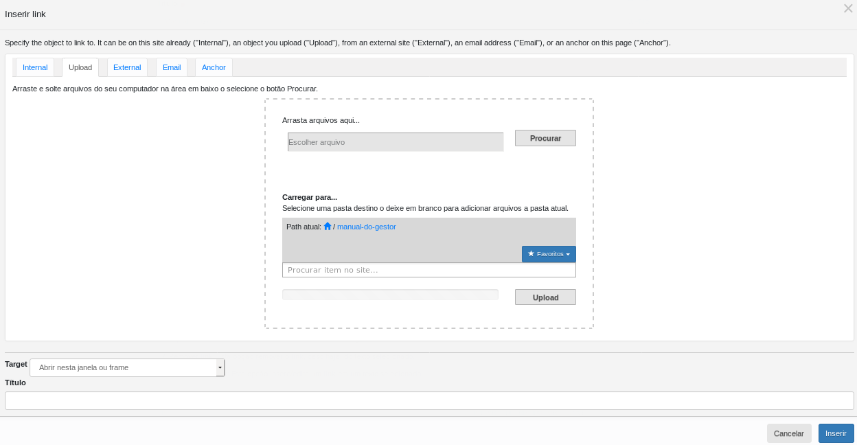 10.b-Inserir Link Upload.png