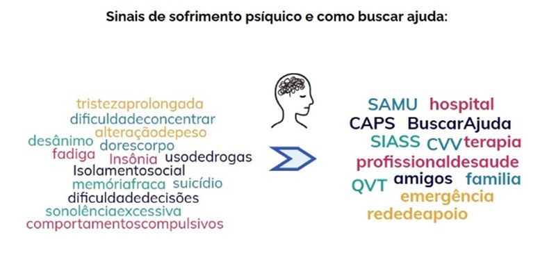 Imagem2.jpg