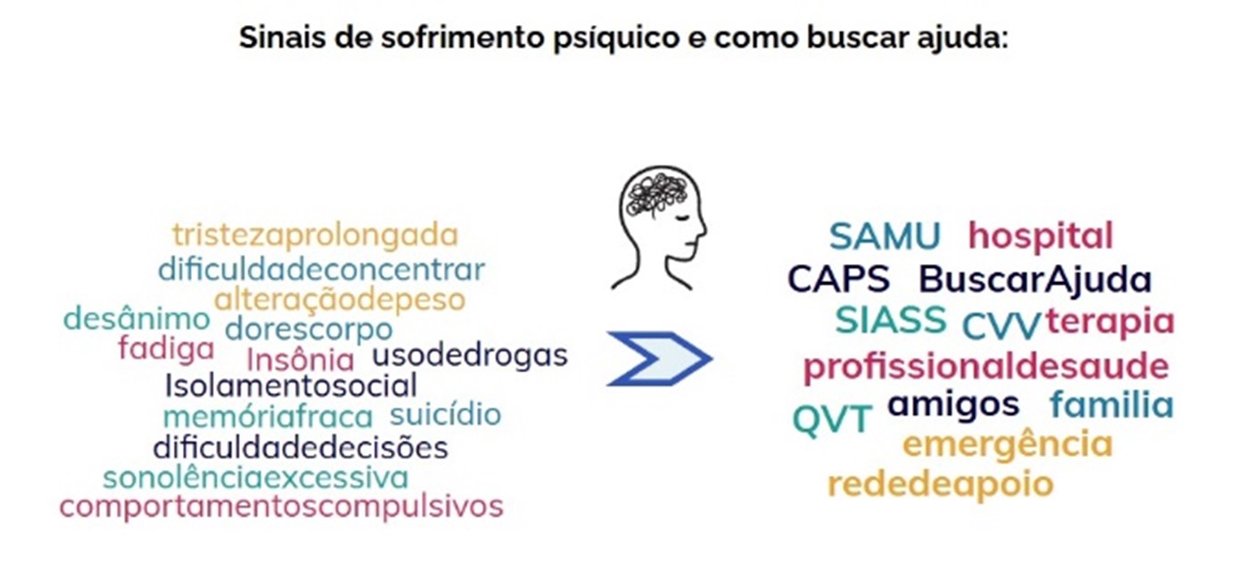 Imagem2.jpg